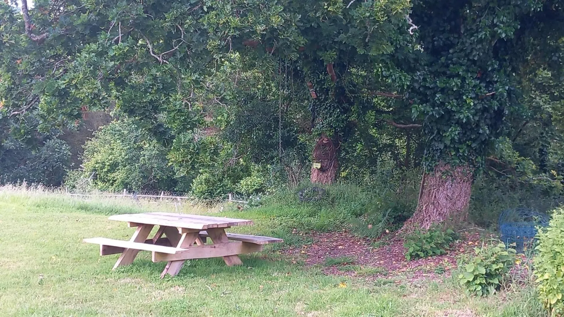 Οργανωμένο κάμπινγκ Tente Insolite En Pleine Nature Treduder